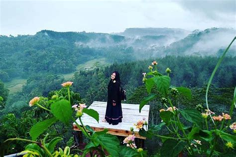 Merasakan Sensasi Ayunan Langit Ayunan Di Ketinggian Atas Tebing