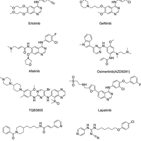 The Binding Mode Of Egfr With C A The D Structure Of Complex B