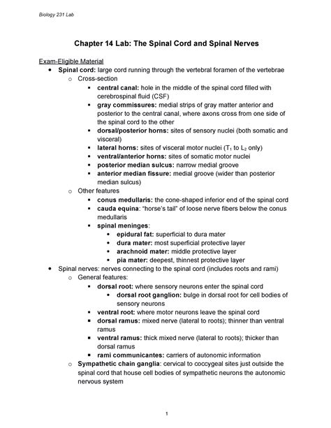 231 Ch14 Lab Lab Chapter 14 Lab The Spinal Cord And Spinal Nerves