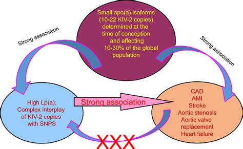 Mendelian Randomization Approach To Demonstrate Causal Association