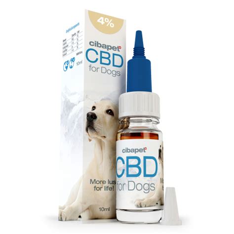 CBD Oil 4% For Dogs