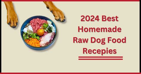 12 DIY Homemade Raw Dog Food Recipes [Vet-approved]