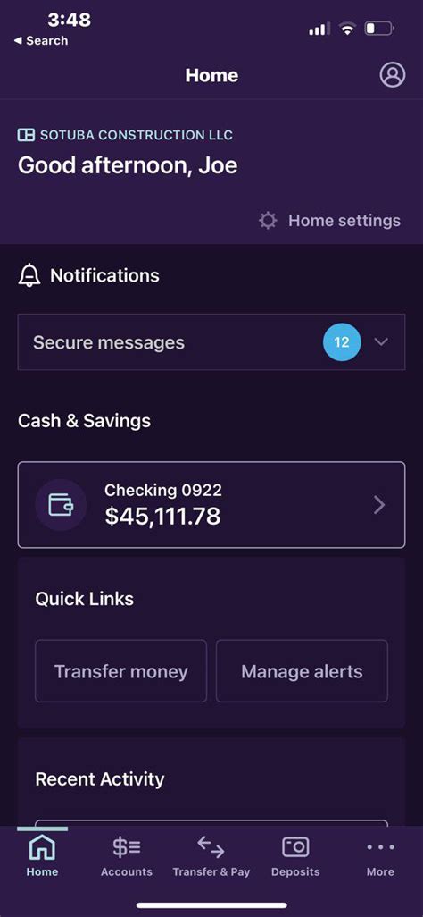 Truist Bank logs. $45,000 balance available : r/MoneyMaking