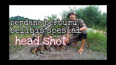 BERBURU BELIBIS SPESIAL HEAD SHOT ONE SHOT ONE KILL YouTube