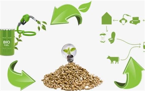 Biomass Energy Advantages And Disadvantages 2024 - Woodbase®