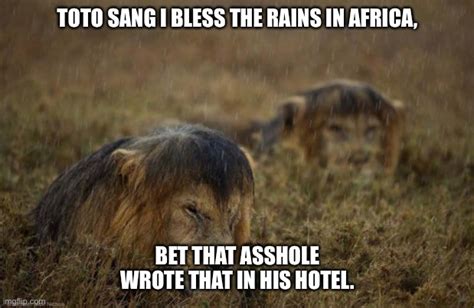 Bless The Rain Imgflip