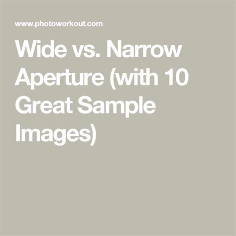 Wide Vs Narrow Aperture A Guide To Choosing The Perfect Aperture