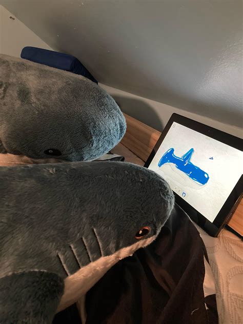 They stole my surface to draw! : r/BLAHAJ