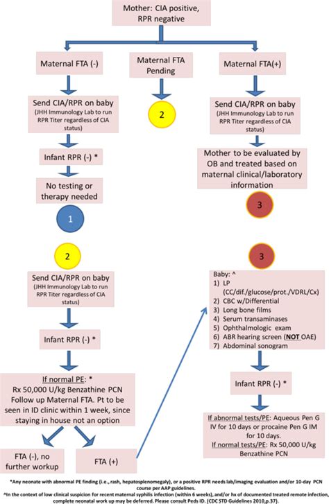 Diagnosing Congenital Syphilis Tests And Procedures For Early