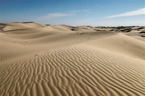 Sand Dunes In Shifting And Constantly Changing Patterns With The Wind