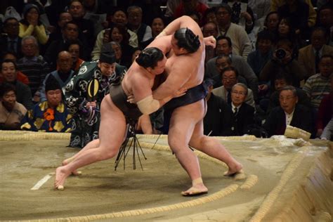 Must See List: Sumo Tournament in Japan - Reverberations