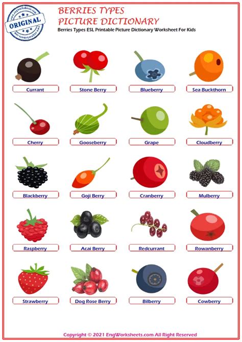 Berries Types English Vocabulary Video Exercises For Kids - Engworksheets