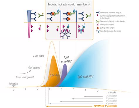 HIV Diagnostik Management bioMérieux Deutschland