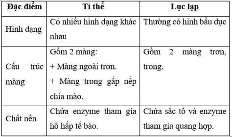 So Sánh Quang Hợp Và Hô Hấp Khám Phá Sự Khác Biệt Và Tầm Quan Trọng