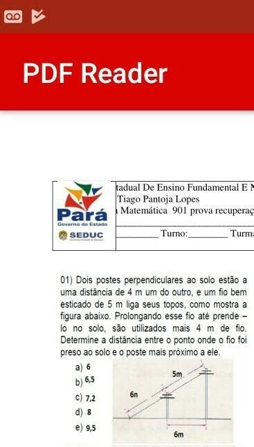 Dois postes perpendiculares ao solo estão a uma distância de 4 m um do