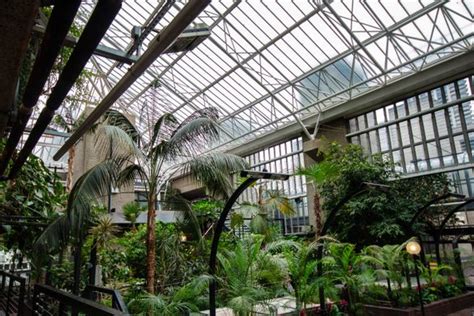 Barbican Conservatory London England Atlas Obscura