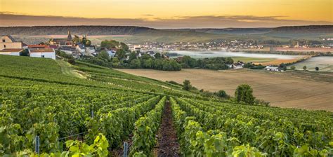 Explore Epernay Reims Private Tours Of Champagne France From Paris