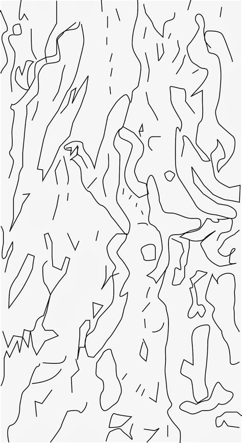 Tree Bark Texture Drawing At Getdrawings Free Download