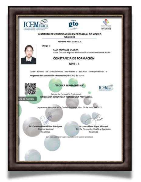 Certificaci N En Biomagnetismo