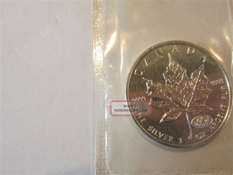 Canada Silver Maple Leaf W Fireworks Privy