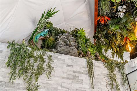 Luxury Smokies Glamping Domes - Thunderhead Ridge Getaways