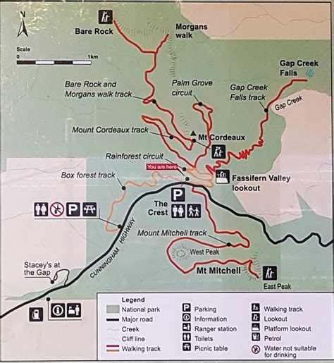 national park odyssey walks cunninghams gap section  main range