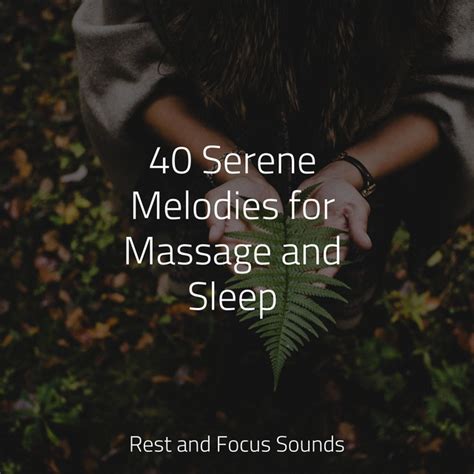 40 Serene Melodies For Massage And Sleep Album By Meditation Deep