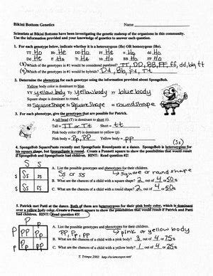 Solved What Is The Image Point Of Left Parenthesis Comma Right