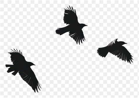 Flying black crows silhouette png | Premium PNG - rawpixel