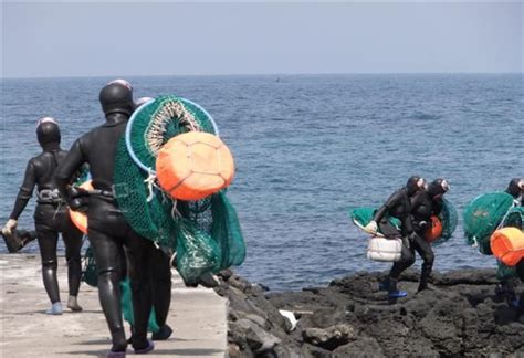 제주 해녀 조업 중 사망사고 잇따라안전사고 주의보 한국일보