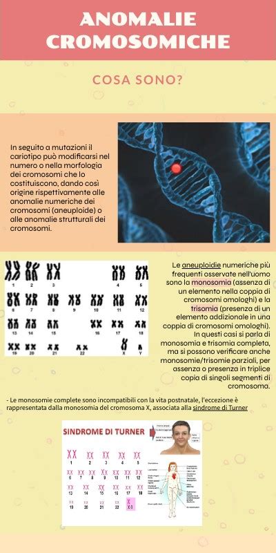 Anomalie Cromosomiche