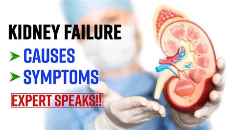 Kidney Failure Know The Symptoms And Causes Of Kidney Disease From The