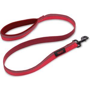 HALTI Lead Dog Leash, Red, Small - Chewy.com