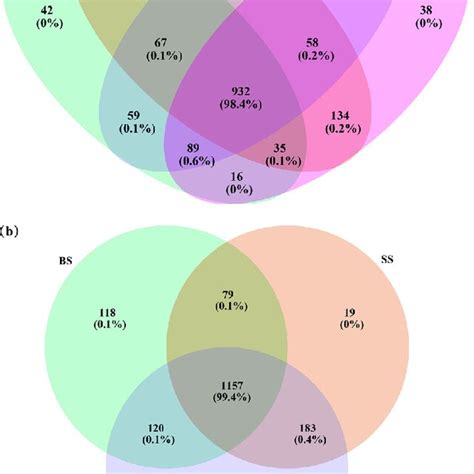 Venn Diagram Of The Identified Bacterial Species Among Different