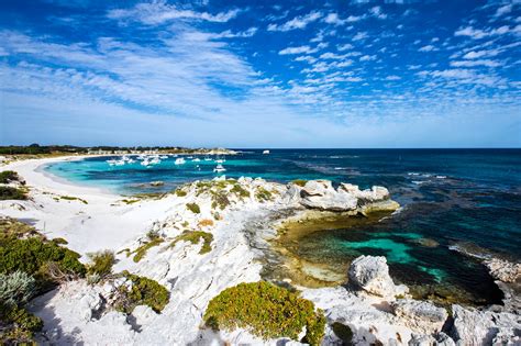 Rottnest Island Heimat Der Quokka Urlaubsguru De