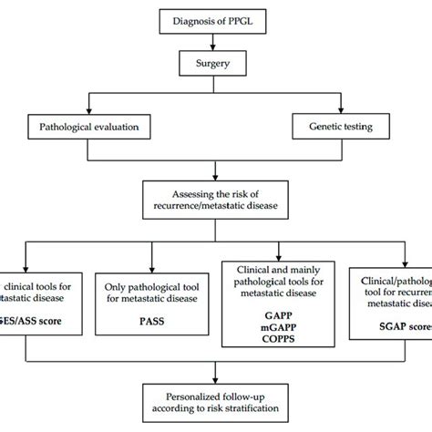 Pheochromocytoma Of The Adrenal Gland Scaled Score Pass