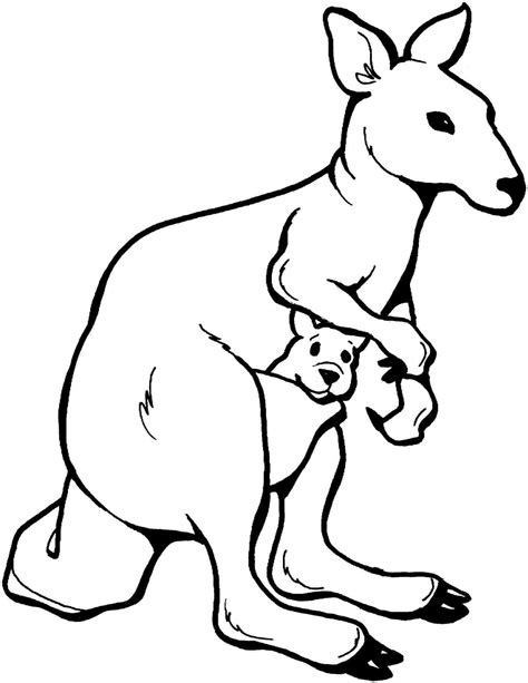 Line Drawing Of A Kangaroo | Free download on ClipArtMag