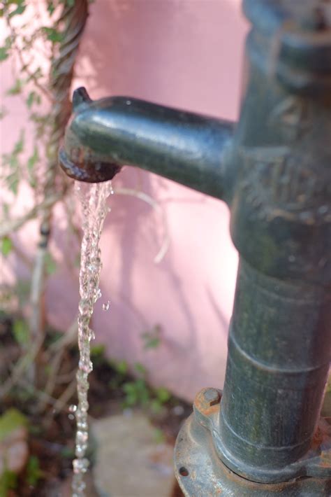 Agua Corriente Vivero Mar Del Plata Campo En Vivorata Ingrid