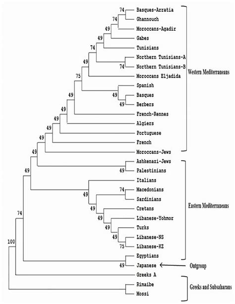 Neighbor Joining Dendrogram Showing Relatedness Between Tunisians And