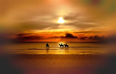 lake, Sunset, Horse Wallpapers HD / Desktop and Mobile Backgrounds