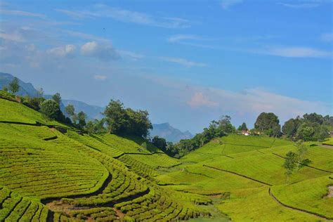 Ooty Kodaikanal Tour 4n 5d From Bangalore Zikation