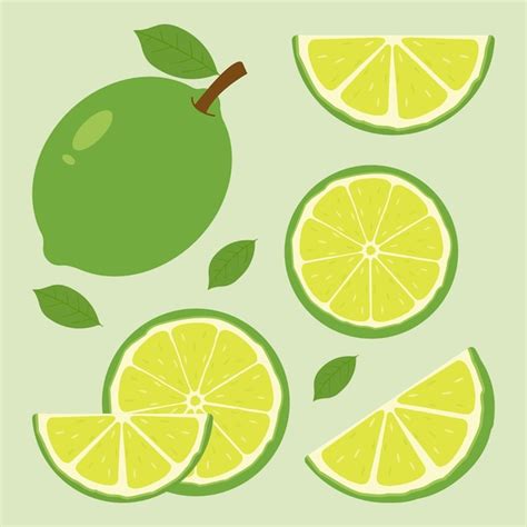 Premium Vector Vector Set Of Different Type Of Green Lemon Summer