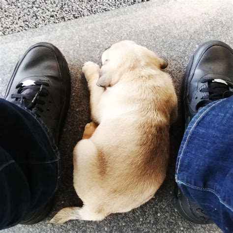 Elite Strategies - Home | Facebook