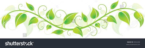 Green Leafy Vines In A Horizontal Row Stock Vector Illustration 9552436