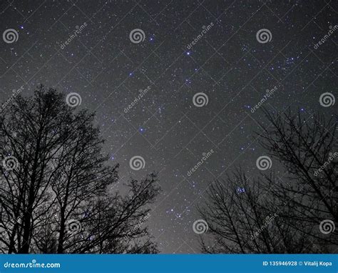 Constelações Do Auriga E Do Touro Das Estrelas Do Céu Noturno