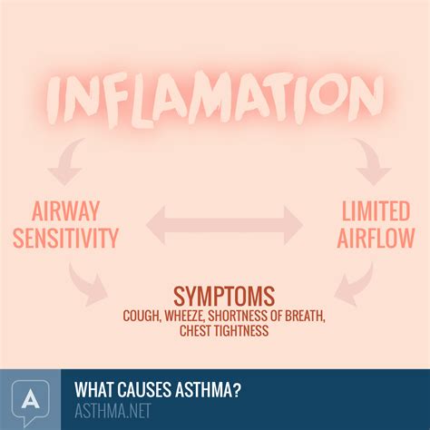 What Causes Asthma