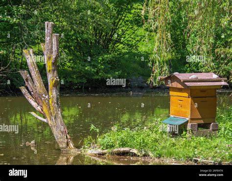 Beehive Beehive At A Pond Wildlife Park Poing Bavaria Germany