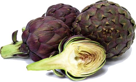 Artichokes Png Photos