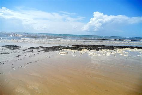 Tr S Praias Em Albufeira Interditadas A Banhos Ap S Chuva Intensa