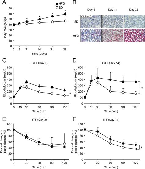 Development Of Obesity Liver Steatosis Glucose Intolerance And